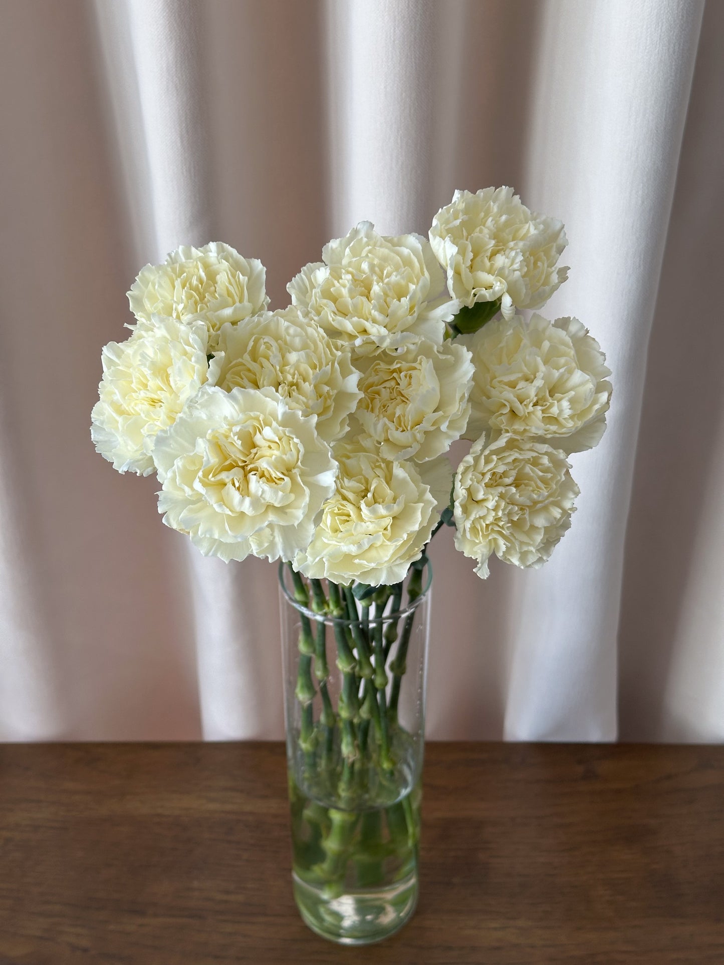 Carnation Sim