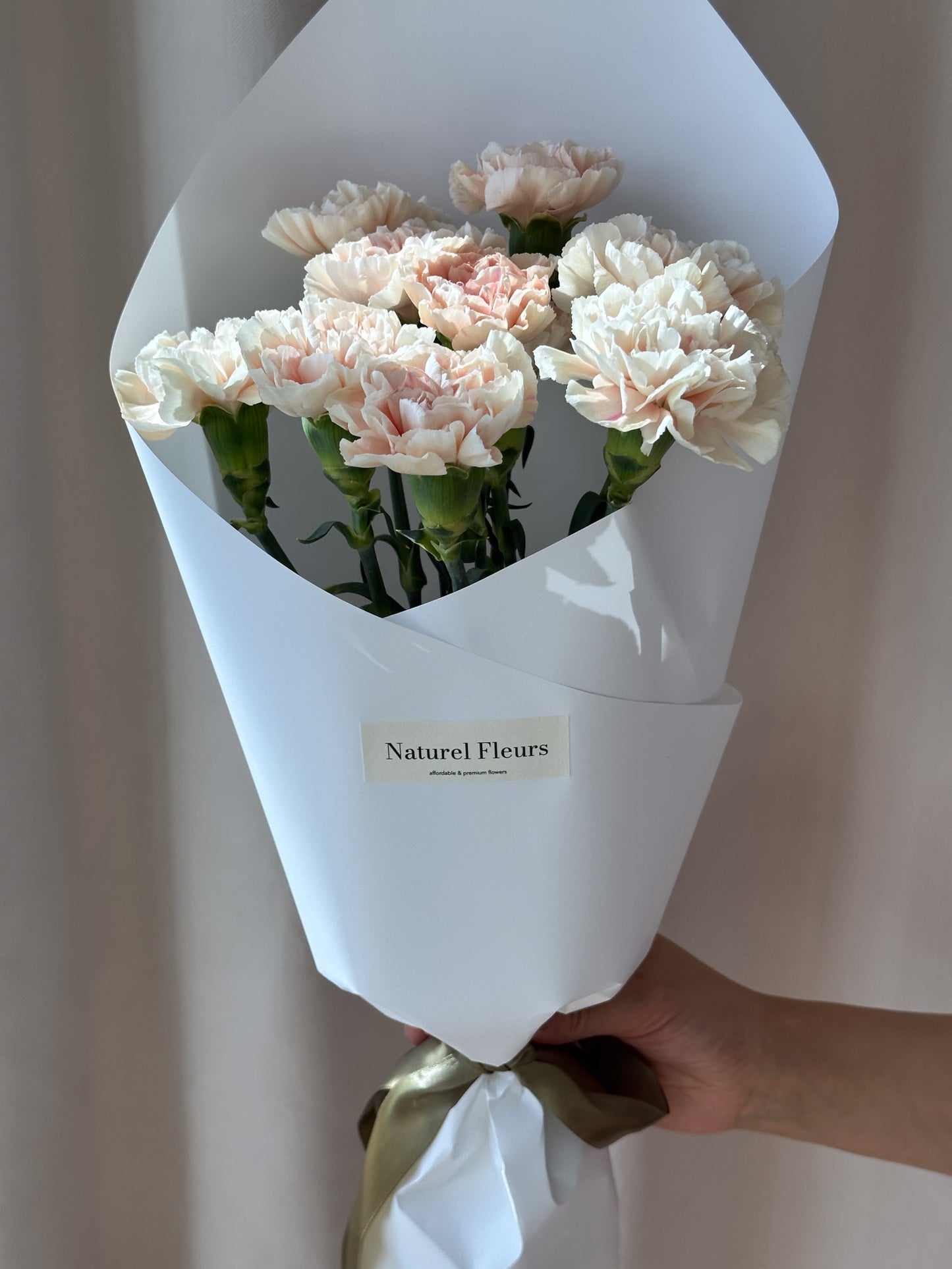 Carnation Sim