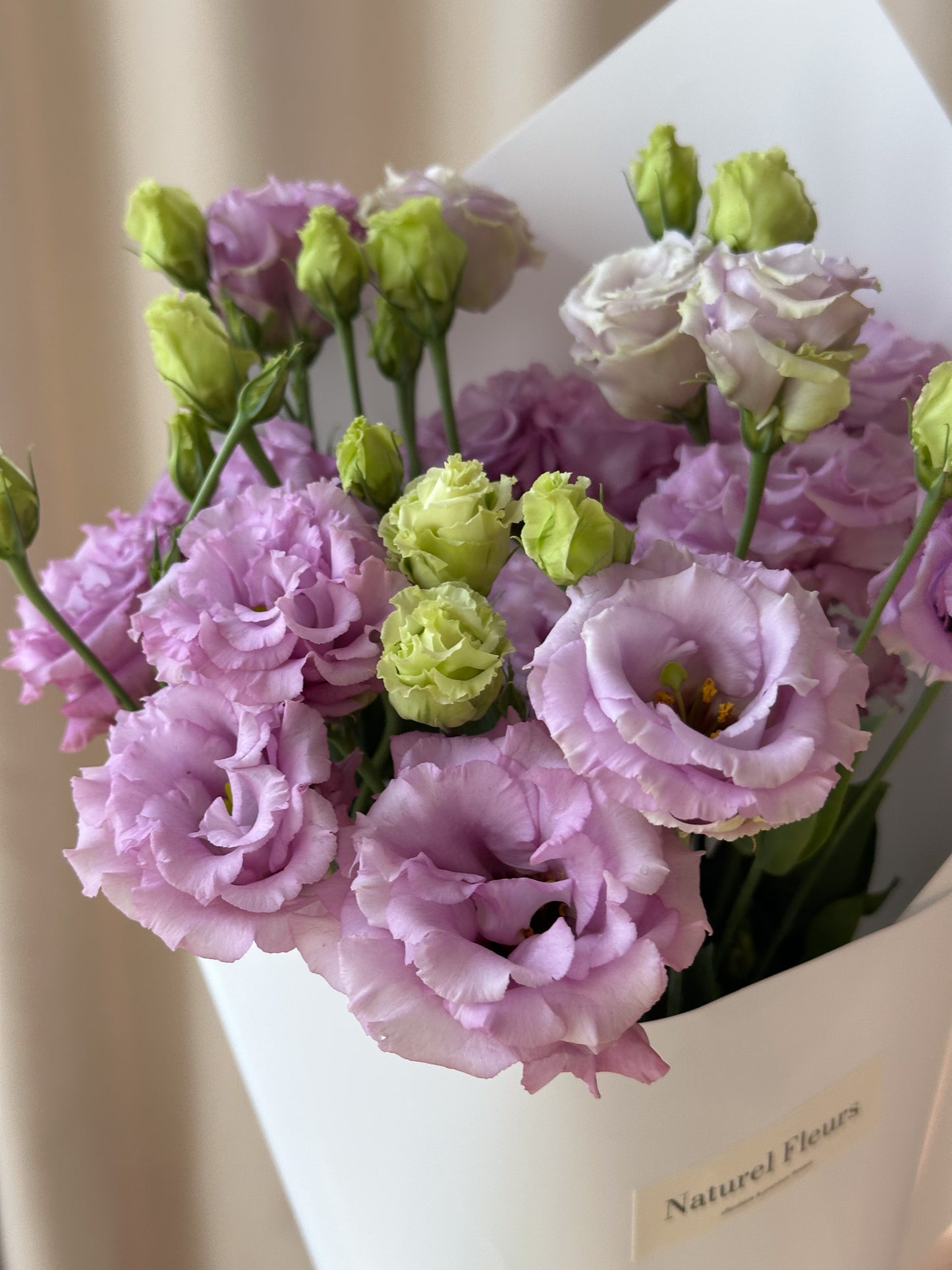 Lisianthus