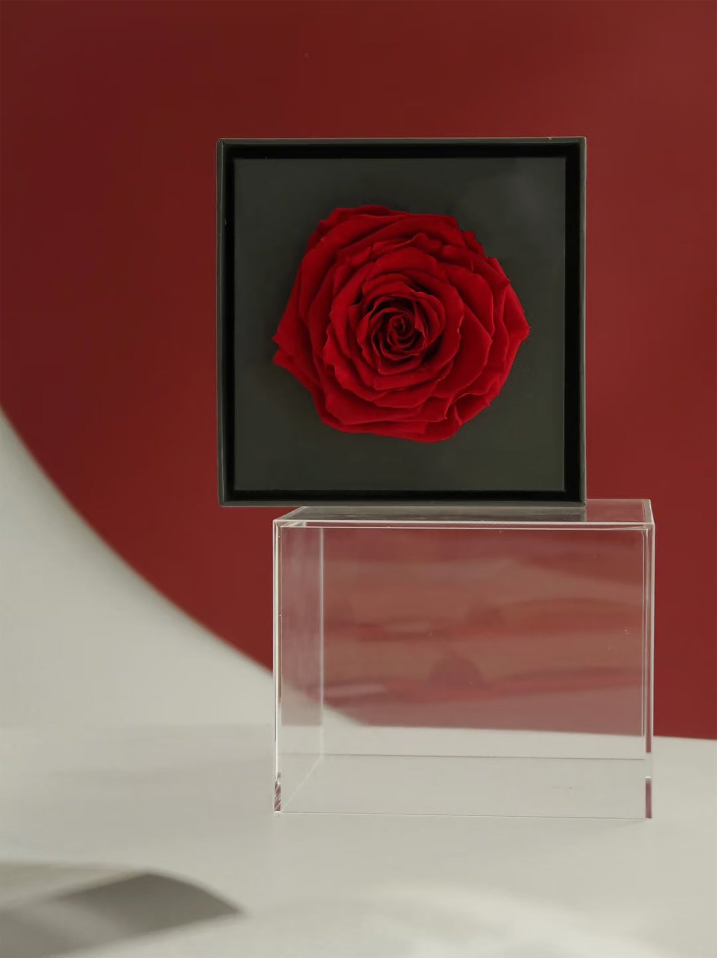 The Eternal Single Rose