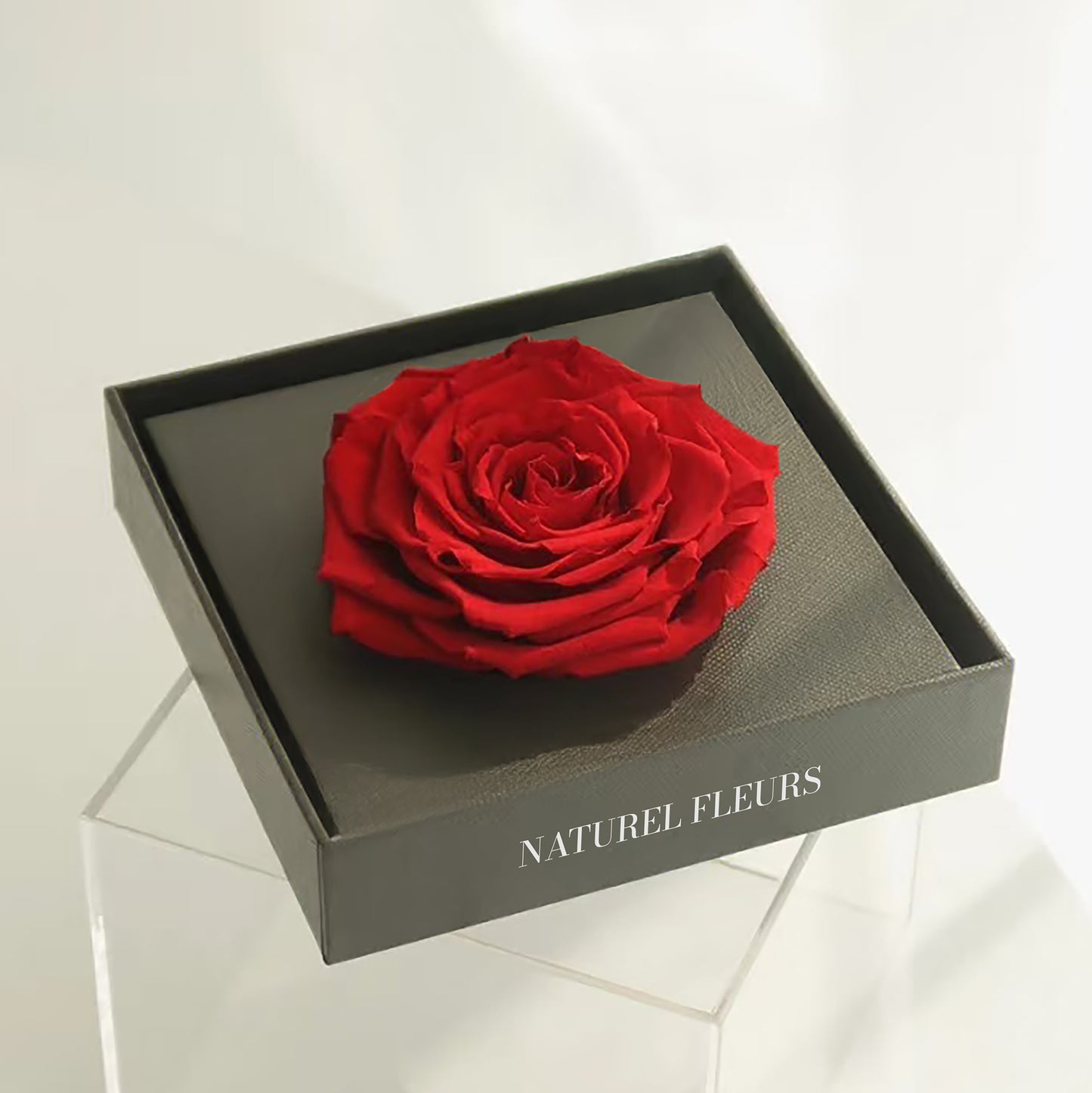 The Eternal Single Rose
