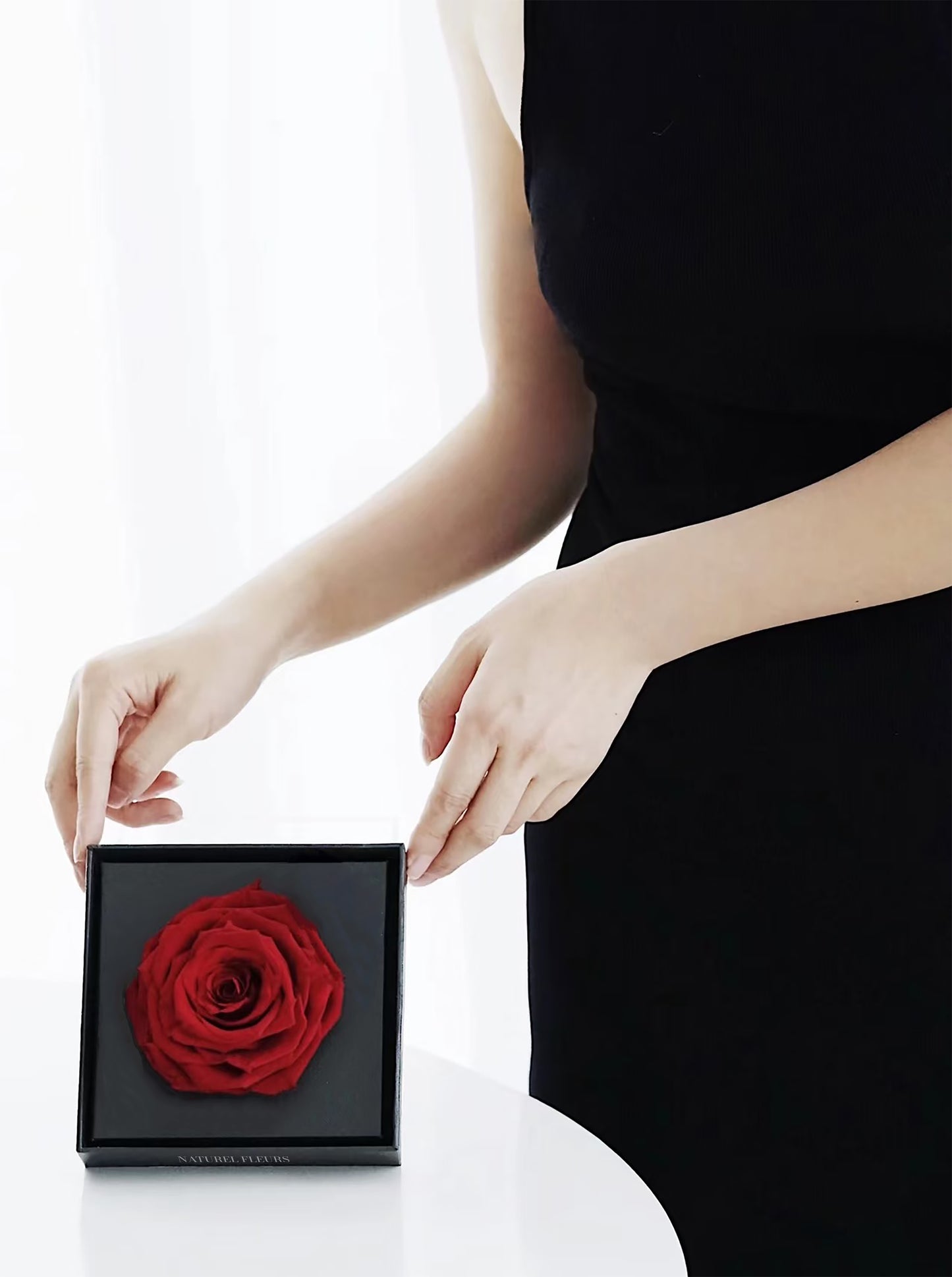 The Eternal Single Rose