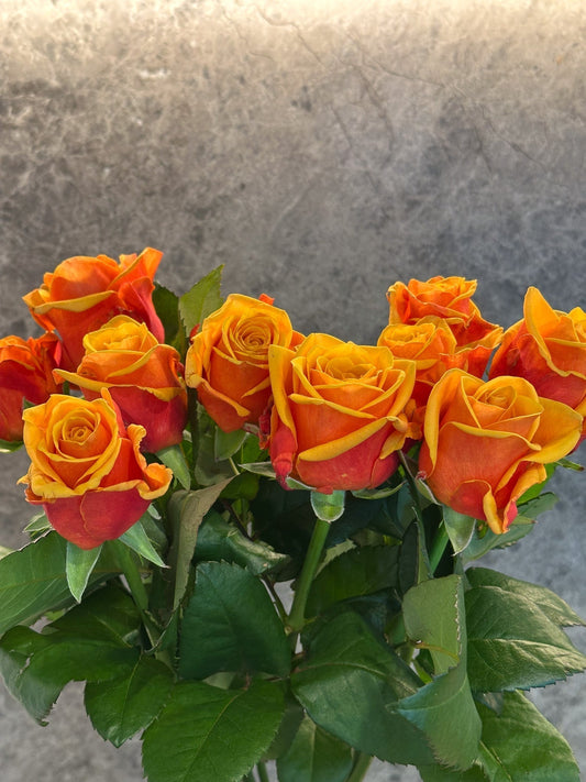 A Blooming Gift of Care: Why Pet-Friendly Flowers Matter