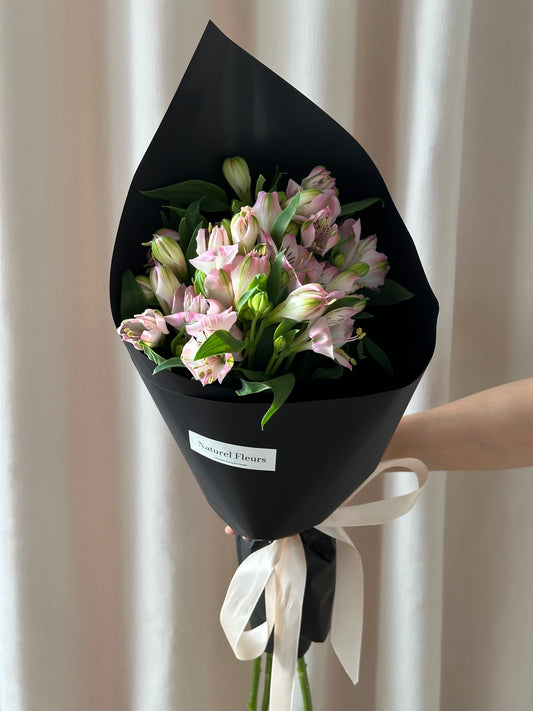 Alstromeria