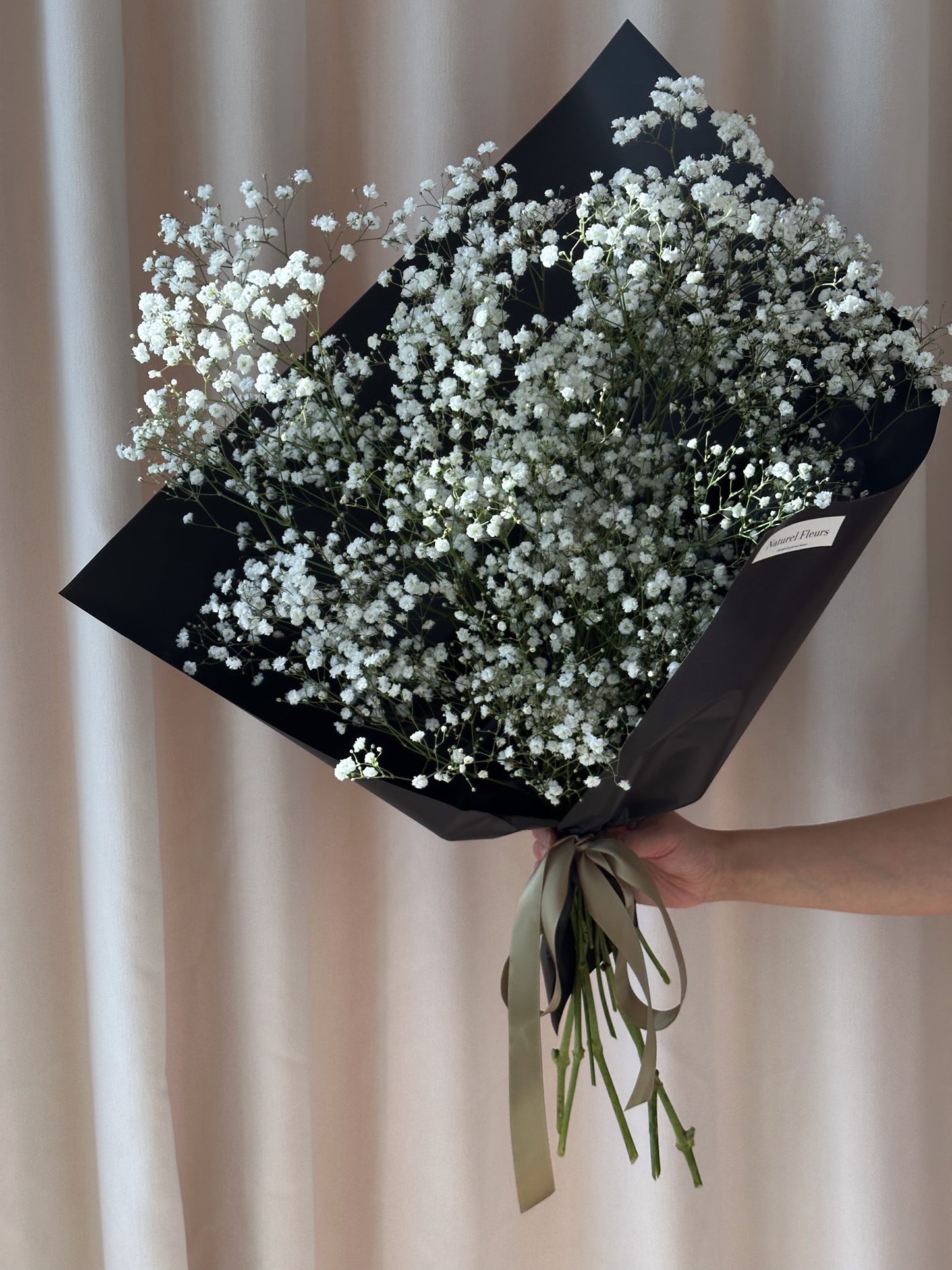 Baby's Breath