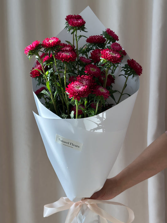 Asters