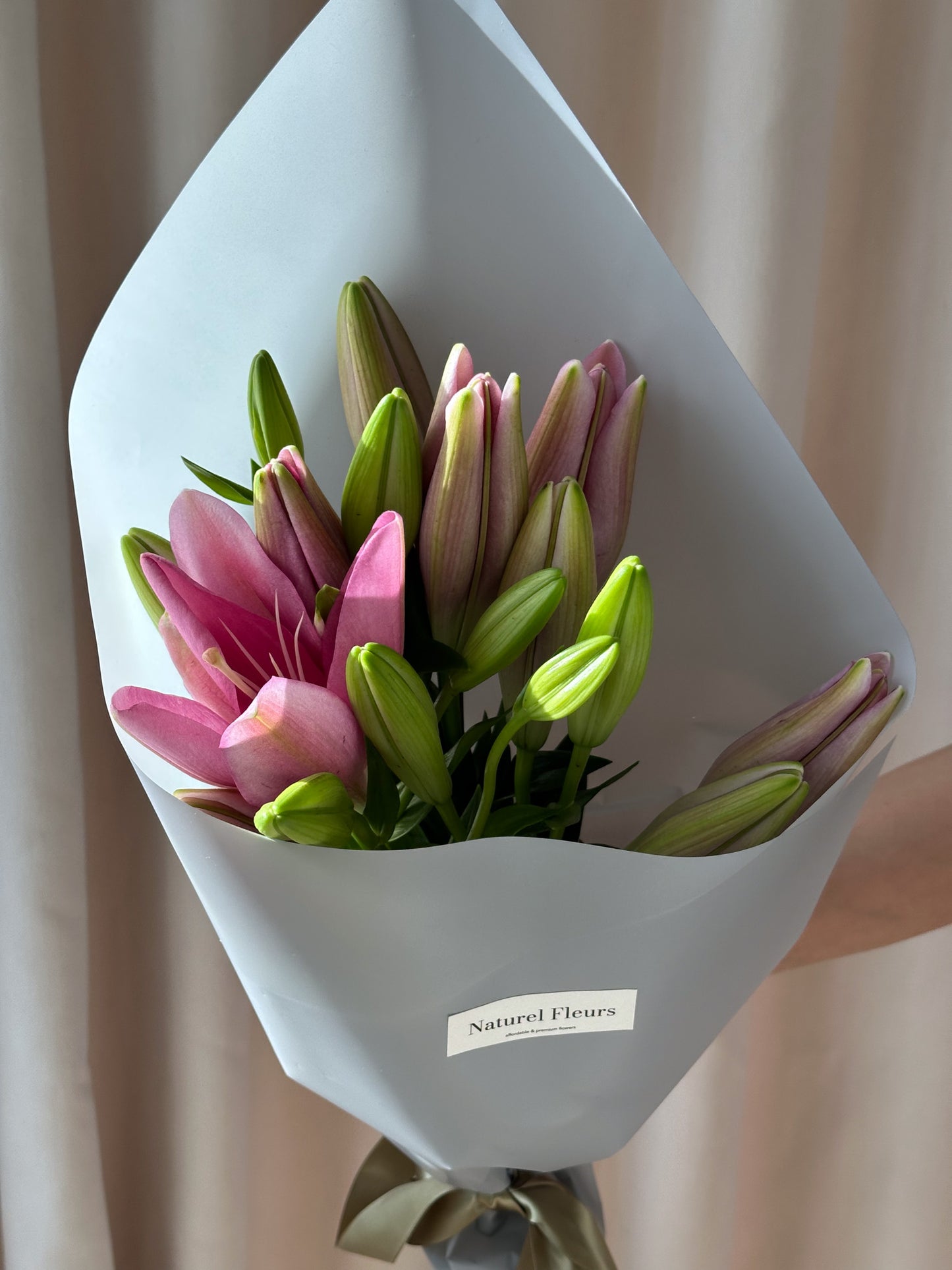 La Lily Pink
