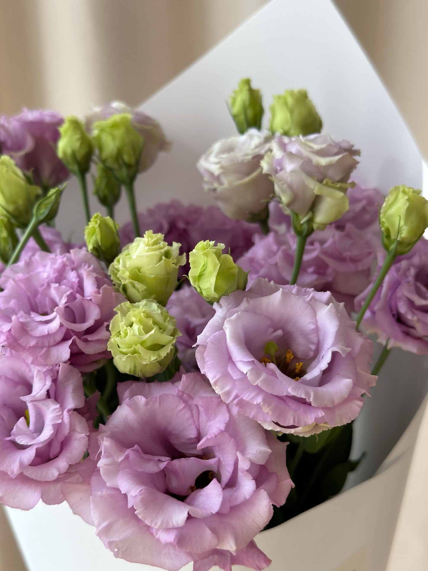 Lisianthus