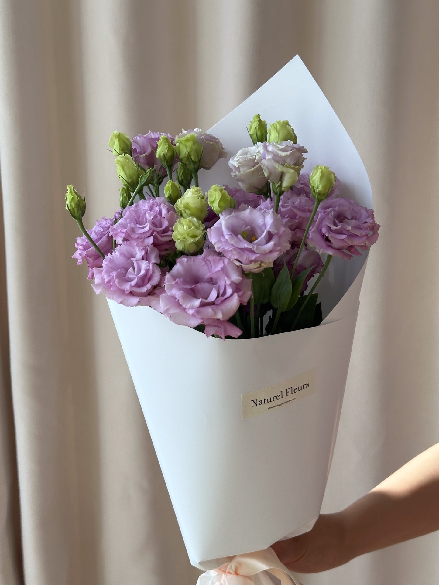 Lisianthus