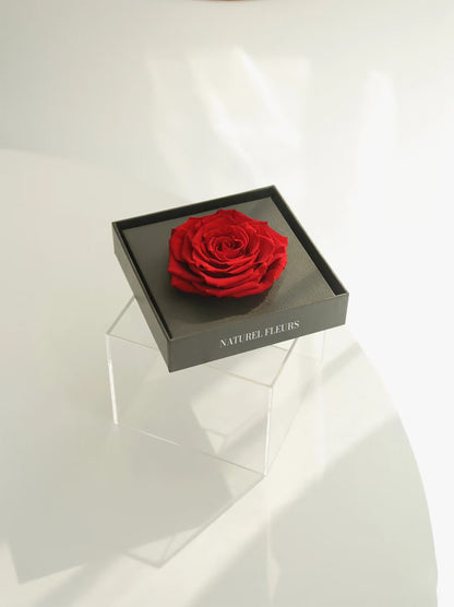 The Eternal Single Rose