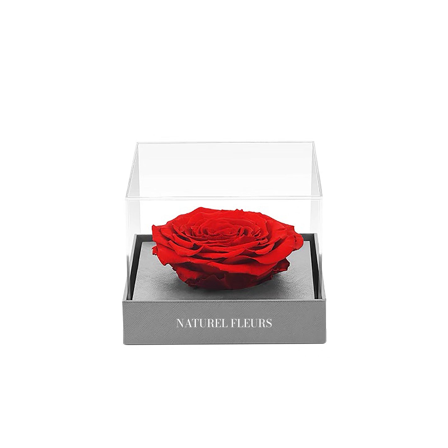 The Eternal Single Rose